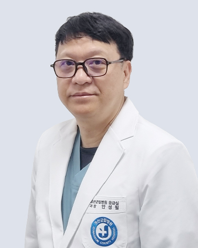 안성필